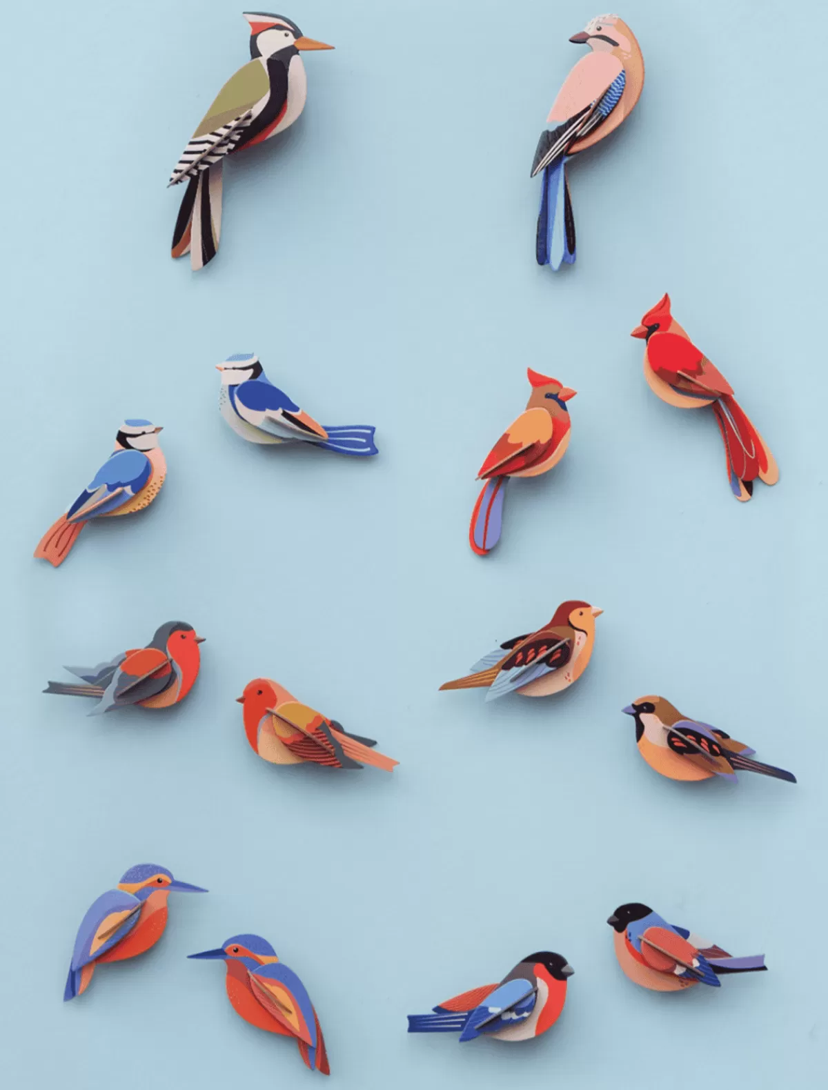 blue_tits_3.webp Studio ROOF Birds | Garden Birds-Blue Tits