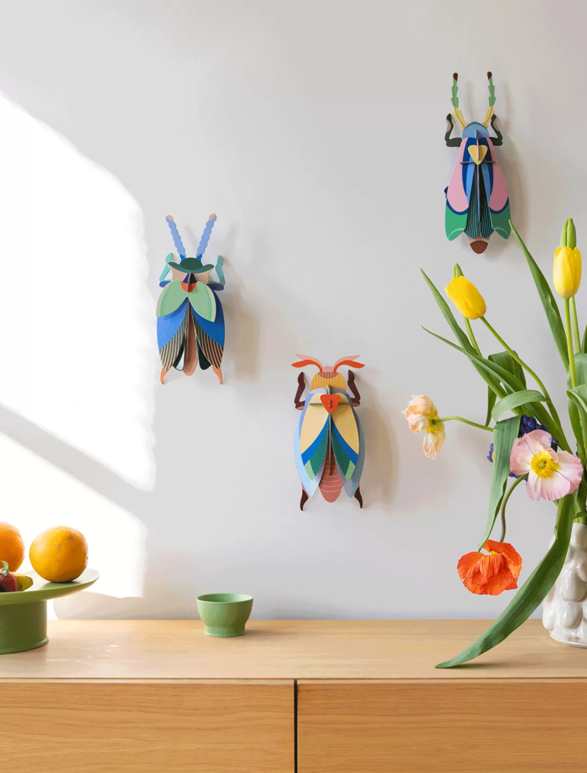 lunar_jewel_beetle_2.webp Studio ROOF Beetles | Beetles-Lunar Jewel Beetle