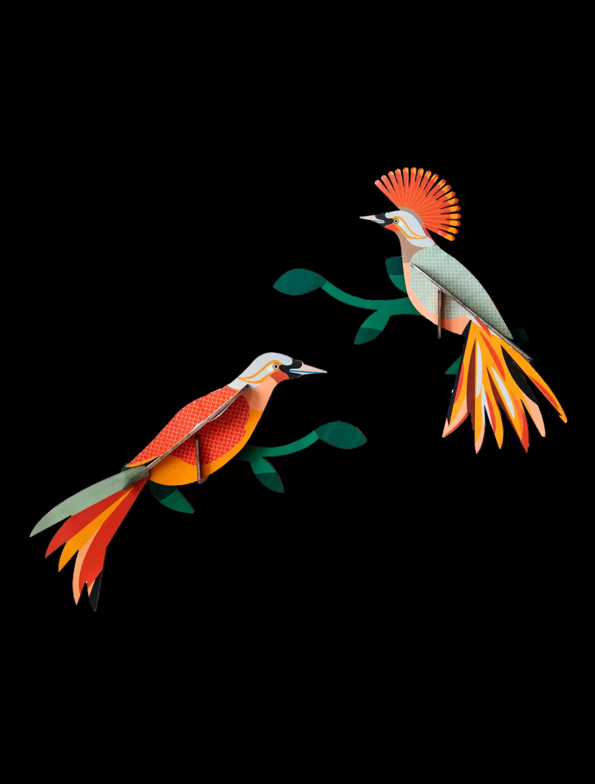 Studio ROOF Birds | Paradise Birds-Paradise Bird, Obi