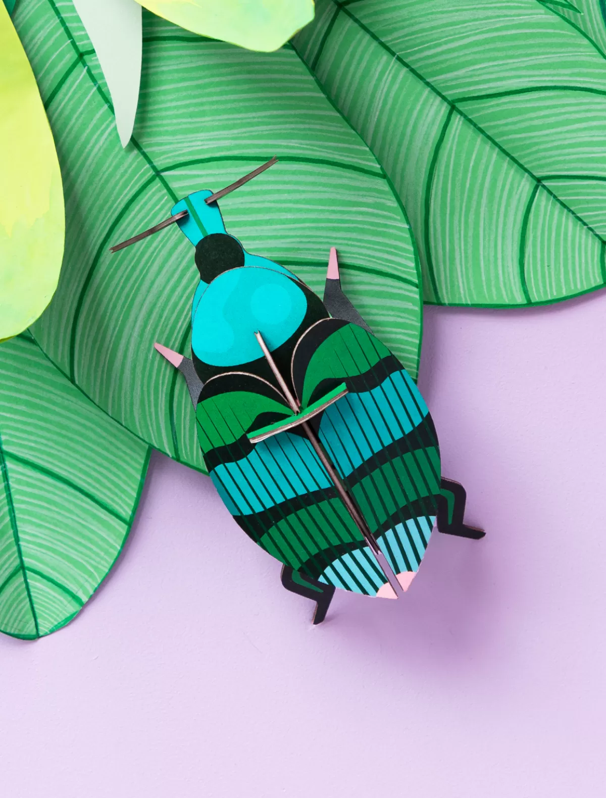 weevil_beetle_2.webp Studio ROOF Beetles | Beetles-Weevil beetle